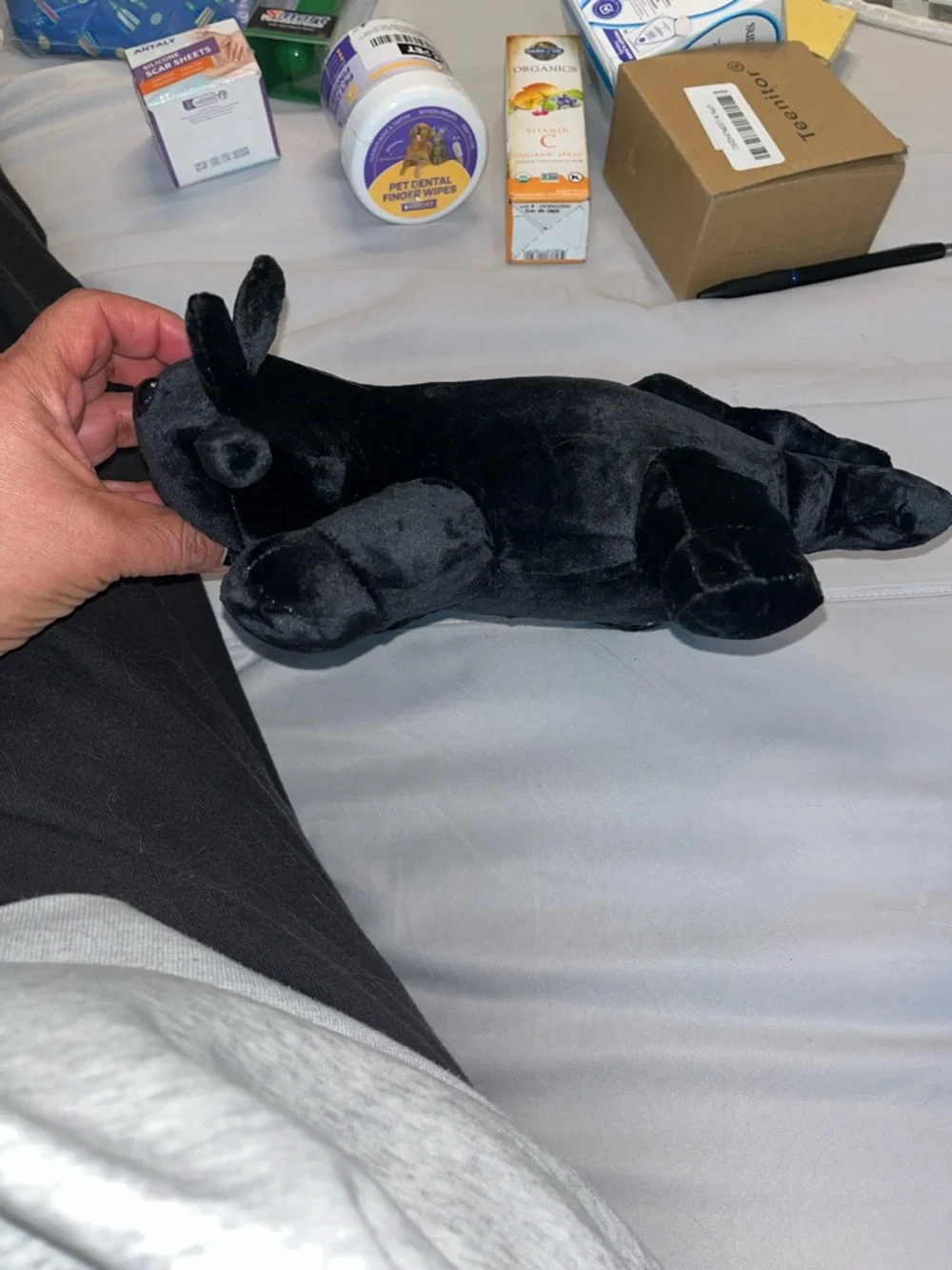 Axolotl Ambystoma Mexicanum Black Plush Stuffed Animal